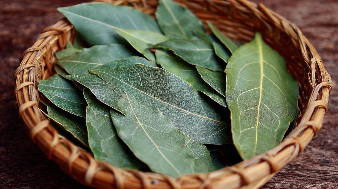 Basket filled with dried bay leaves