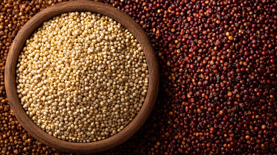 Bowl of light colored quinoa beside red sorghum grains