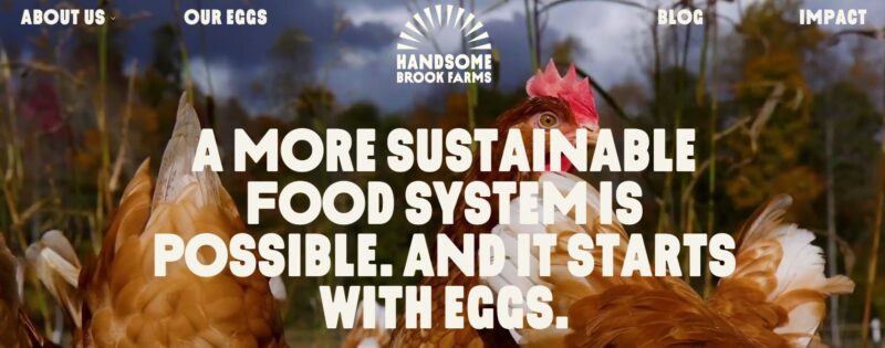 Handsome Brook Farms